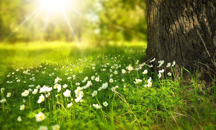 yaz-aylarinda-yapilacak-etkinlikler